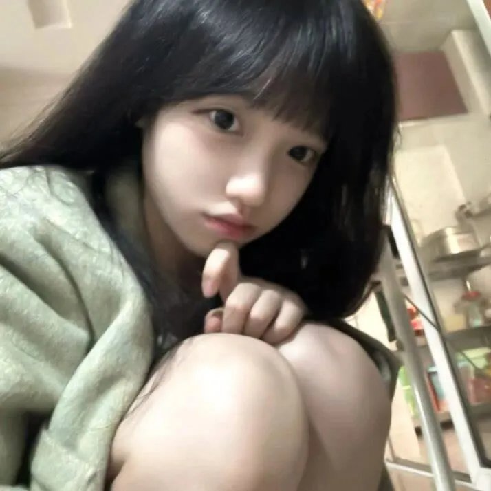 冰原小恐龙